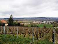 10年ぶりの故郷ブラジルへ～海ドラ的現地レポート～【お先見？海外ドラマ日記】 