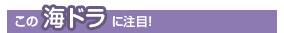 この海ドラに注目！