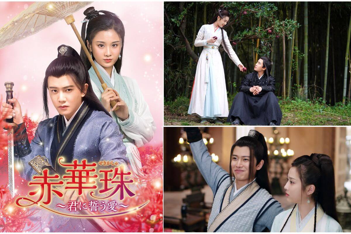 赤華珠［せきかしゅ］〜君に誓う愛〜　ＤＶＤ−ＢＯＸ１ : 赤華珠［せきかしゅ］～君に誓う愛～ DVD-BOX1 : アレン