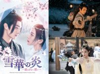 雪華の炎～揺るぎない誓い～