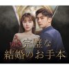 韓国ドラマ『完璧な結婚のお手本』
