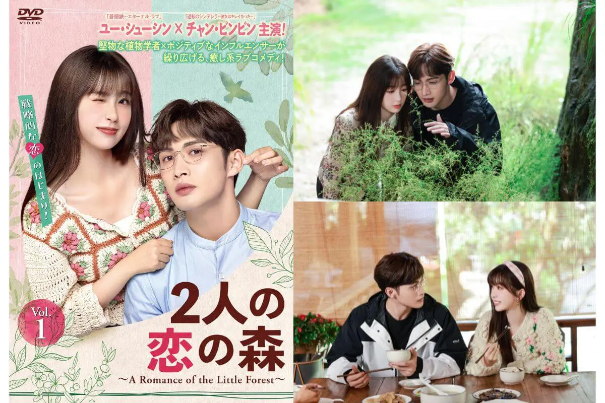 中国ドラマ『2人の恋の森』はどこで配信してる？ - 海外ドラマNAVI
