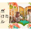 韓国ドラマ『偶然見つけたハル』|韓国ドラマ『偶然見つけたハル』|韓国ドラマ『偶然見つけたハル』