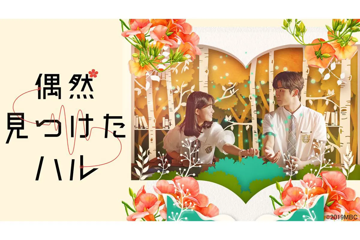 韓国ドラマ『偶然見つけたハル』|韓国ドラマ『偶然見つけたハル』|韓国ドラマ『偶然見つけたハル』
