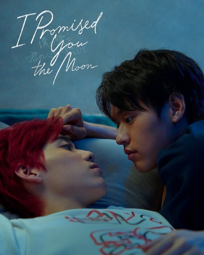 I Promised You the Moon
