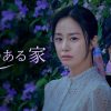 庭のある家|韓国ドラマ『ハピネスバトル』