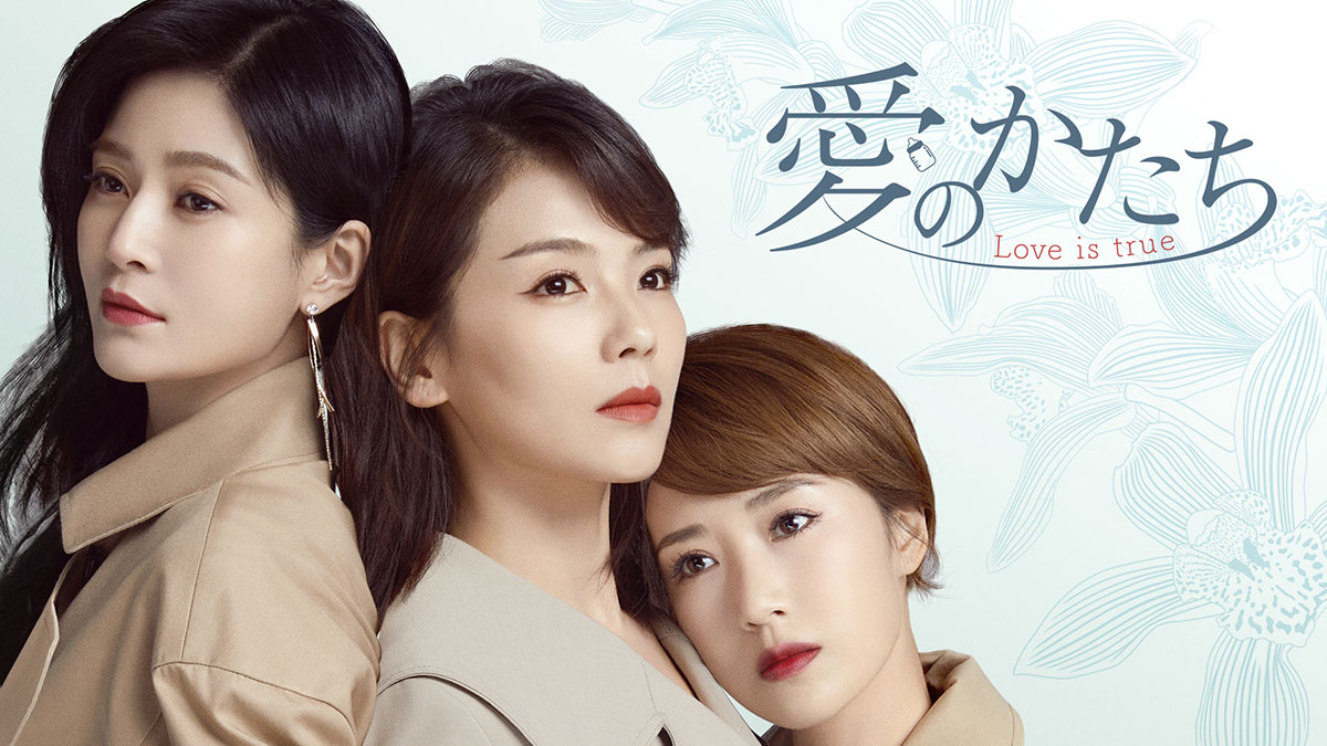 中国ドラマ『愛のかたち ～Love is true～』