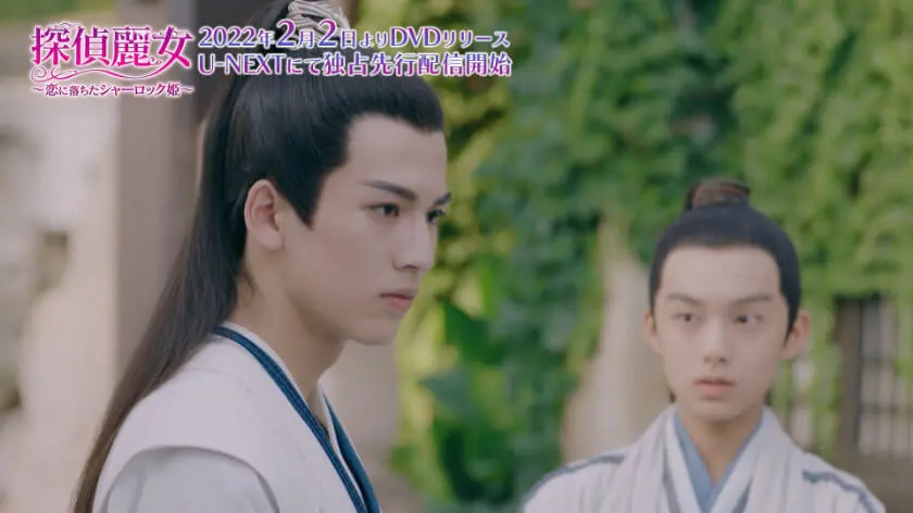 中国ドラマ『探偵麗女 ～恋に落ちたシャーロック姫～』はどこで見