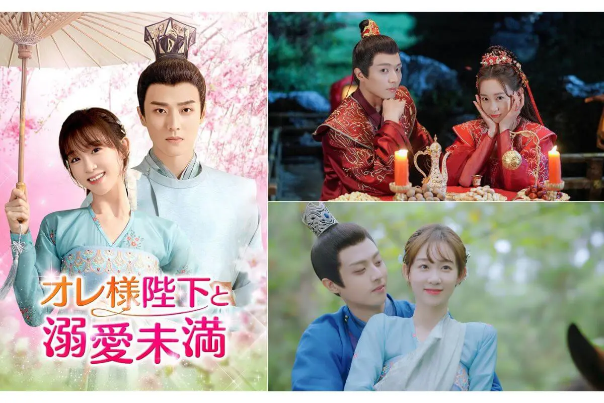 中国ドラマ『オレ様陛下と溺愛未満』はどこで見れる？