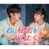 中国ドラマ『君に秘密を届けたくて』|中国ドラマ『君に秘密を届けたくて』