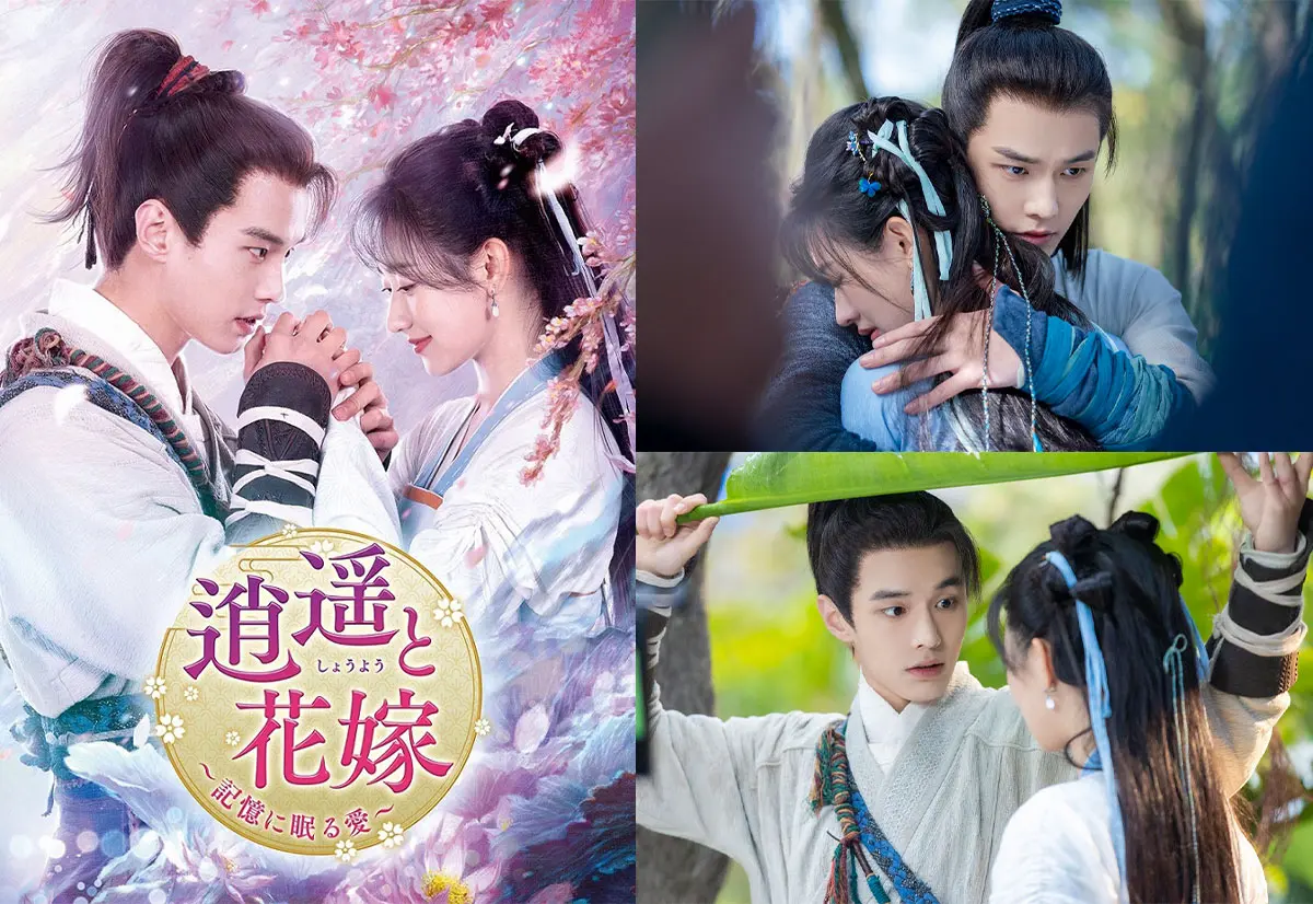 中国ドラマ『逍遥と花嫁～記憶に眠る愛～』はどこで見れる？ - 海外 