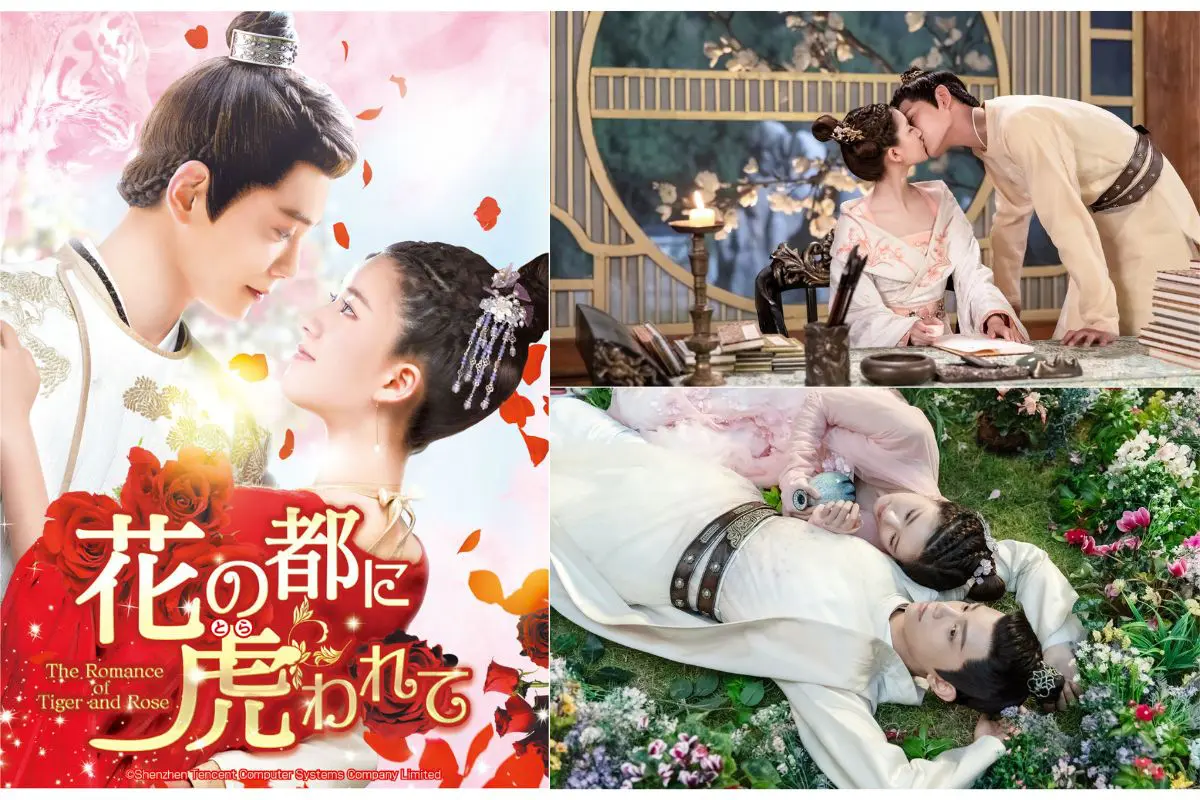 レンタルアップ  花の都に虎われて　全巻セット Amazon.co.jp: 花の都に虎(とら)われて～The Romance of Tiger