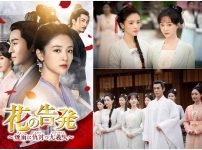 中国ドラマ『花の告発～煙雨に仇討つ九義人～』|中国ドラマ『花の告発～煙雨に仇討つ九義人～』|中国ドラマ『花の告発～煙雨に仇討つ九義人～』