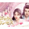 花ざかりのプリンセス