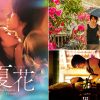 中国ドラマ『夏花』|中国ドラマ『夏花』