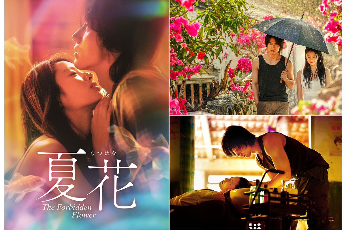 中国ドラマ『夏花』|中国ドラマ『夏花』