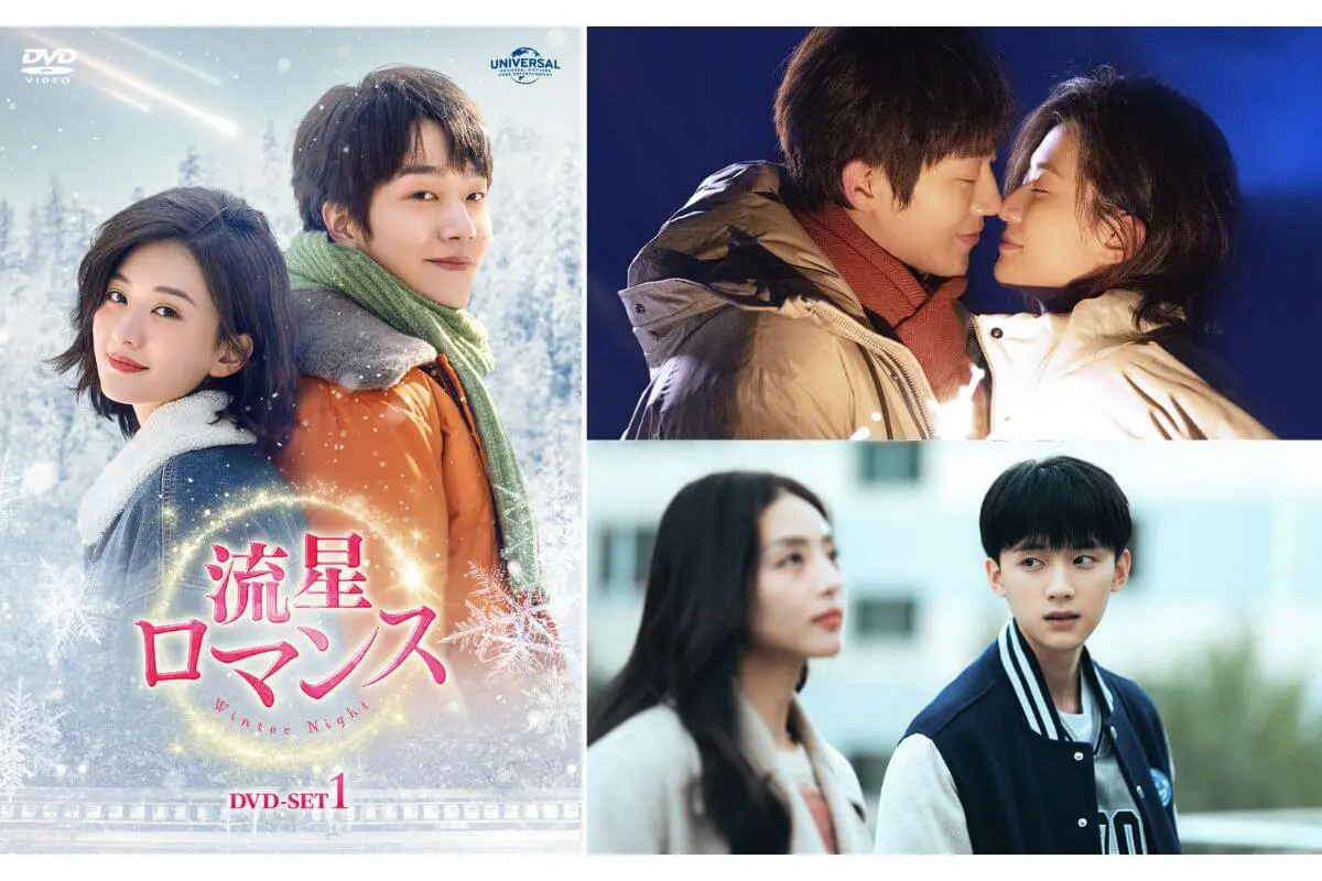 DVD 危険な約束 コ・セウォン パク・ハナ(王道の韓流愛憎劇 DVD 危険な約束 コ・セウォン パク・ハナ(王道の韓流愛憎劇
