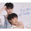 the miracle of teddybear|the miracle of teddybear