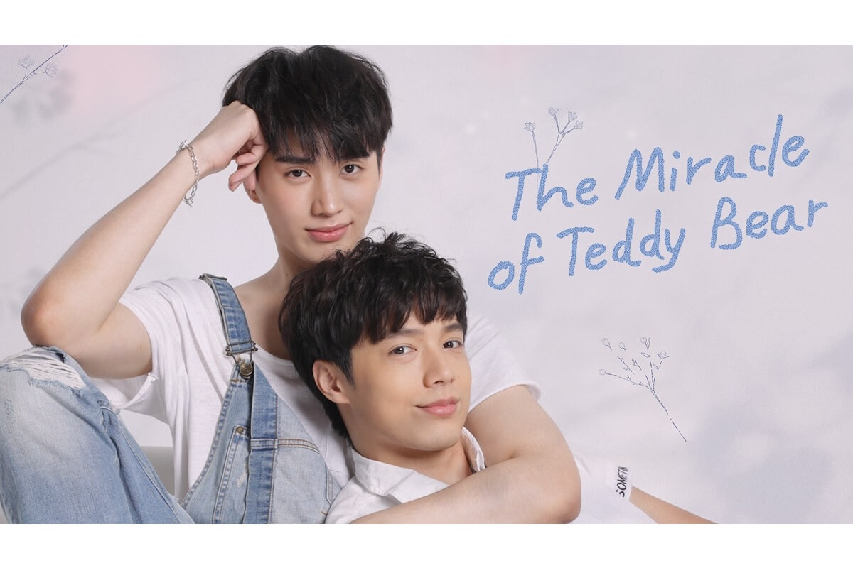 the miracle of teddybear|the miracle of teddybear