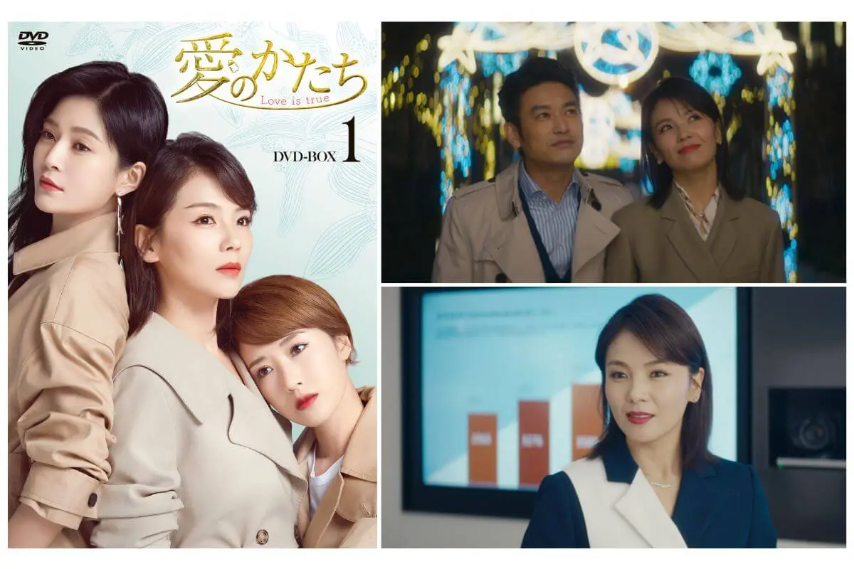 愛のかたち～Ｌｏｖｅ　ｉｓ　ｔｒｕｅ～　ＤＶＤ－ＢＯＸ１ 愛のかたち〜Love is true〜 DVD-BOX1 [DVD]