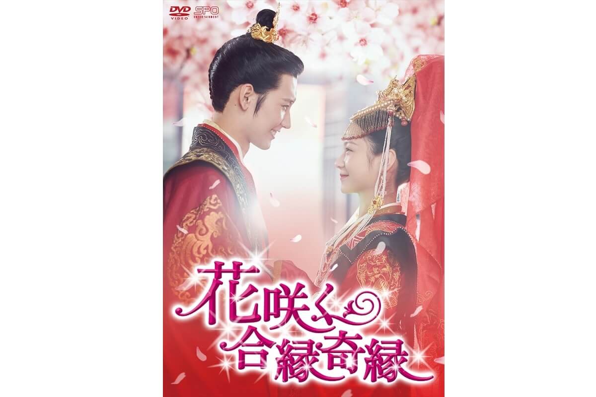 花咲く合縁奇縁＿キービジュアル|花咲く合縁奇縁＿場面写真