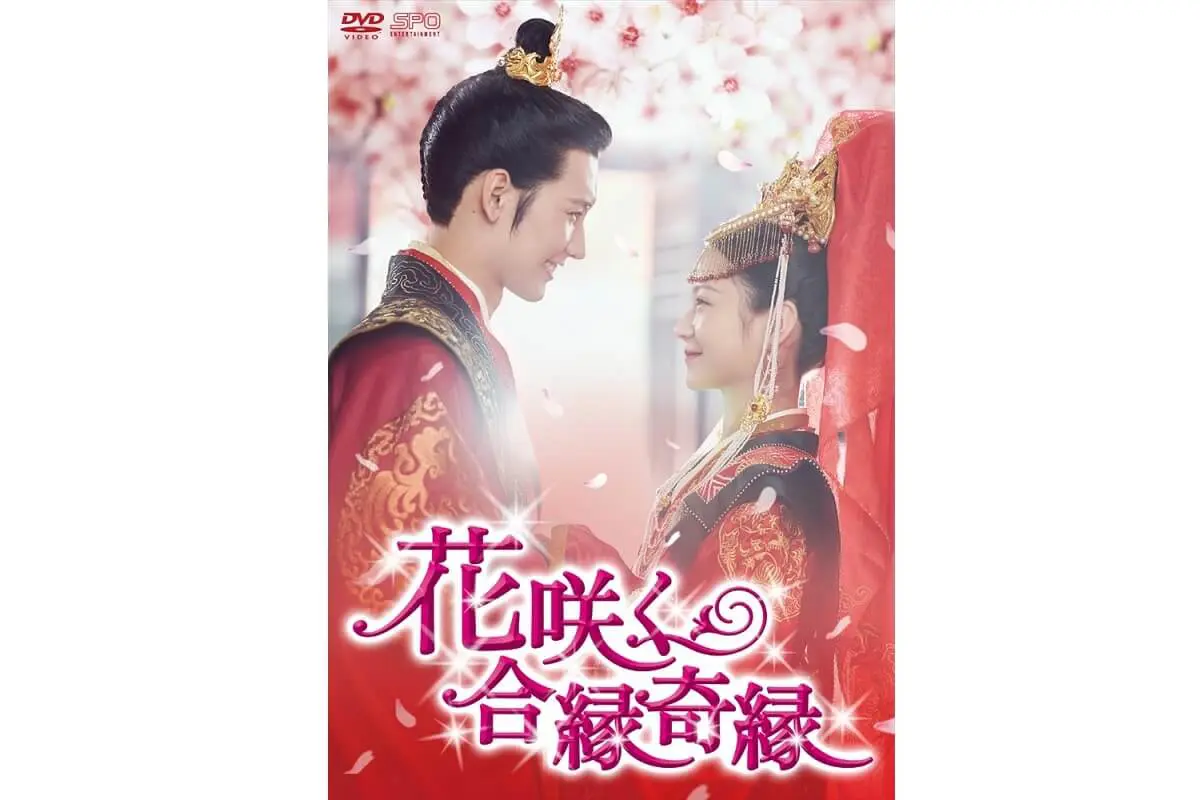 花咲く合縁奇縁 DVD-BOX2（7枚組）