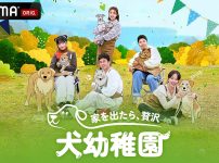 家を出たら、贅沢～犬幼稚園～