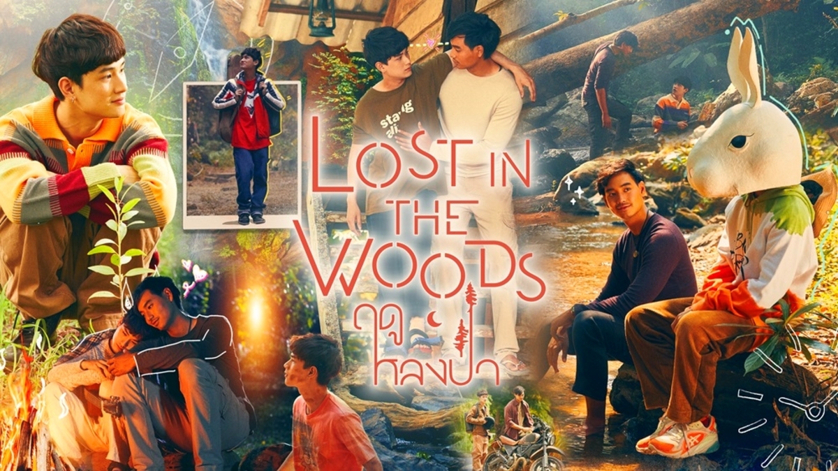 Lost in the Woods