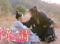 若葉の詩（うた）　～青青子衿～