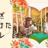 偶然見つけたハル