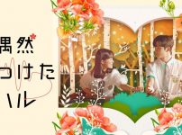 偶然見つけたハル