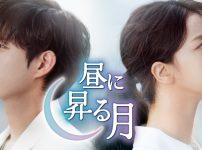 昼に昇る月