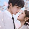 『素敵な恋の咲かせかた』