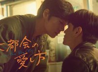 『大都会の愛し方 ～Love in the Big City～』キービジュアル