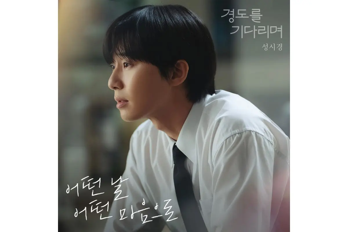 韓国ドラマ『たった一人の私の味方』はどこで見れる？ - 海外ドラマ