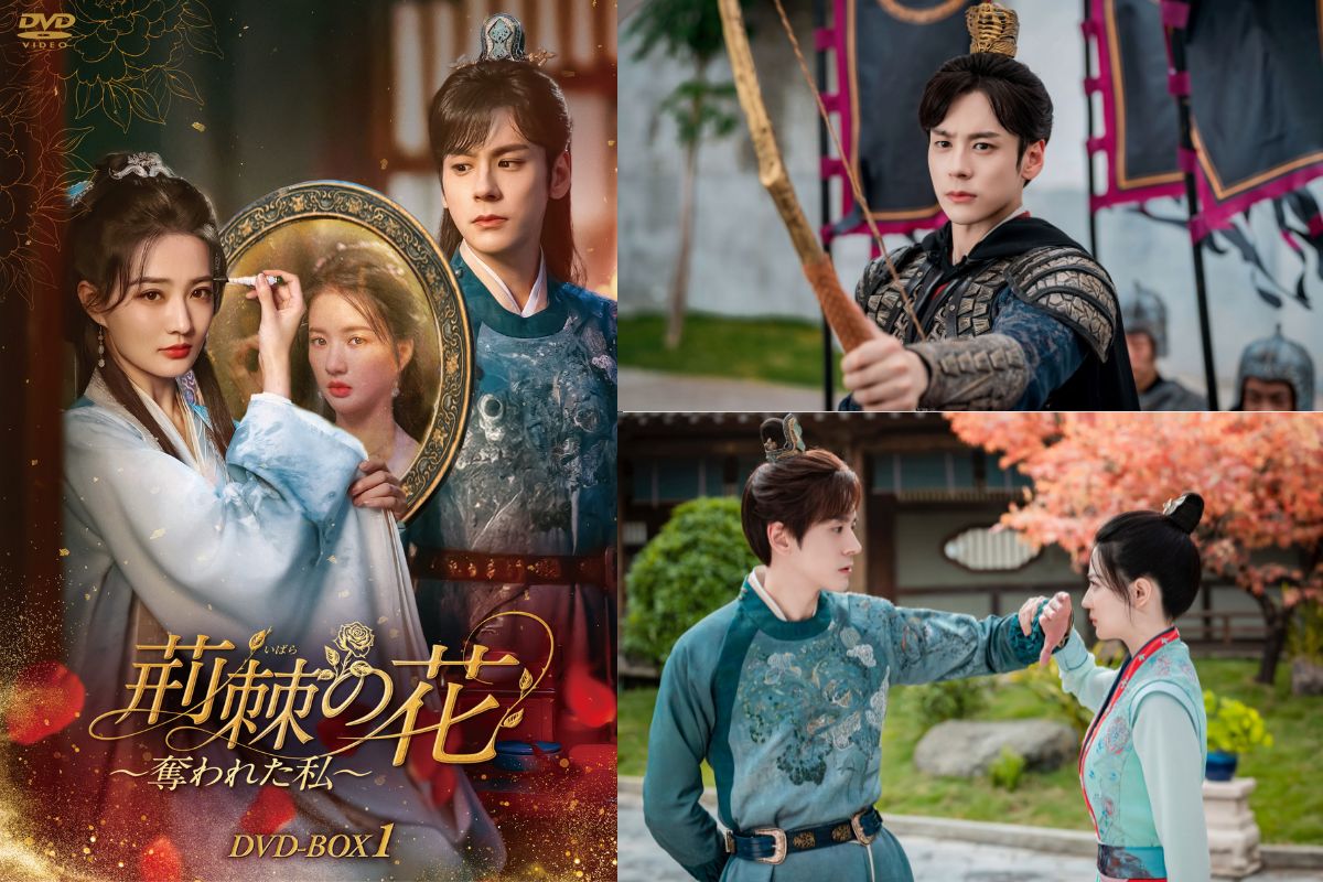 中国ドラマ『荊棘〈いばら〉の花～奪われた私～』