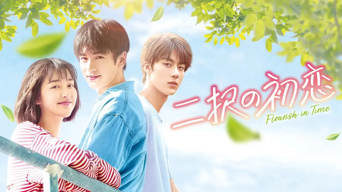 中国ドラマ『二択の初恋』はどこで見れる？ - 海外ドラマNAVI【アジア】