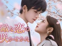 『素敵な恋の咲かせかた』キービジュアル