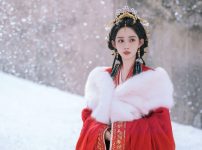 中国ドラマ『桃花、江山（こうざん）に燃ゆ～命がけの政略結婚～』場面写真