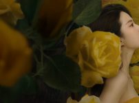 中国ドラマ『彼女は薔薇』キービジュアル