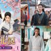 中国ドラマ『双花鏡 交わる魂、重なる宿命』