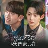 韓国ドラマ『桃の花が咲きました』キービジュアル