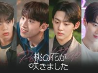 韓国ドラマ『桃の花が咲きました』キービジュアル