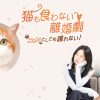 韓国ドラマ『猫も食わない離婚劇～ニャンとしても譲れない！～』キービジュアル