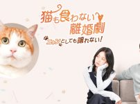 韓国ドラマ『猫も食わない離婚劇～ニャンとしても譲れない！～』キービジュアル