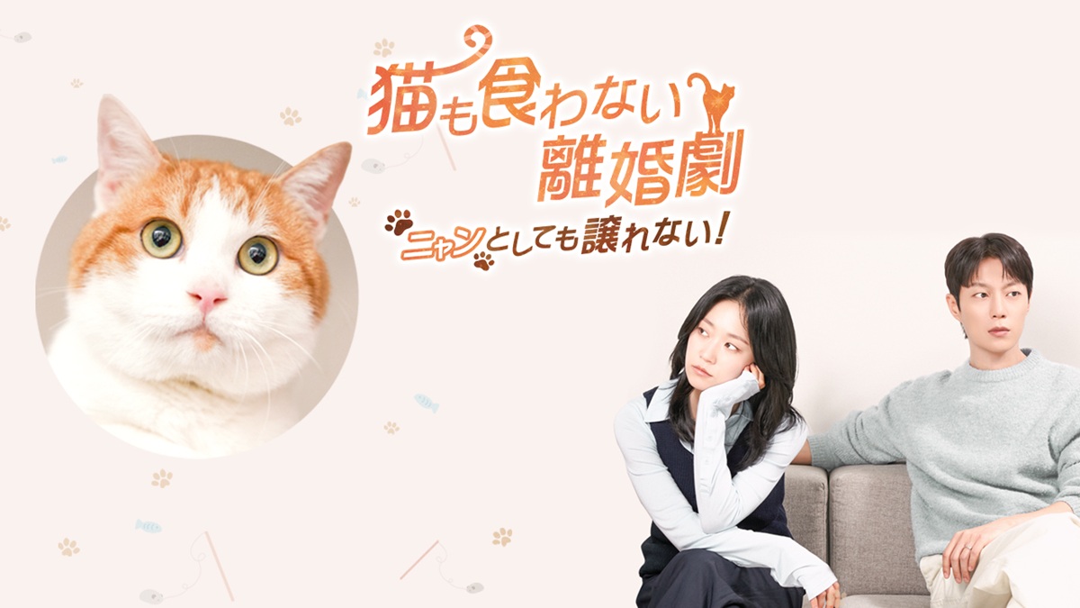 韓国ドラマ『猫も食わない離婚劇～ニャンとしても譲れない！～』キービジュアル