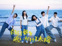『向日葵を追いかける太陽』キービジュアル