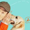 犬と俺！？～ソフィは最高の相棒～
