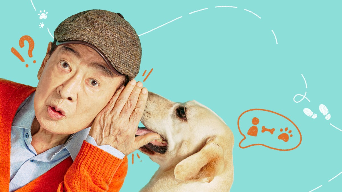 犬と俺！？～ソフィは最高の相棒～