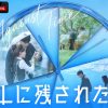 わたしに残された恋愛